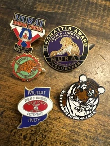 Vtg Masonic Freemason Shriner Scottish Rite Indiana Gold Tone Lapel Pin Lot - Picture 1 of 6