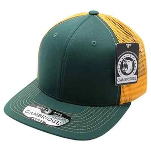 ⭐️PB222 Cappello camionista Cambridge Pit Bull verde oro maglia curva Bill nuovo - Foto 1 di 3