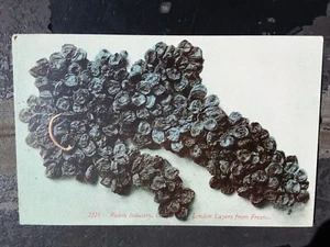 Vintage Unused London Layers Raisin Industry Fresno Postcard Collect Cali Advert - Picture 1 of 2