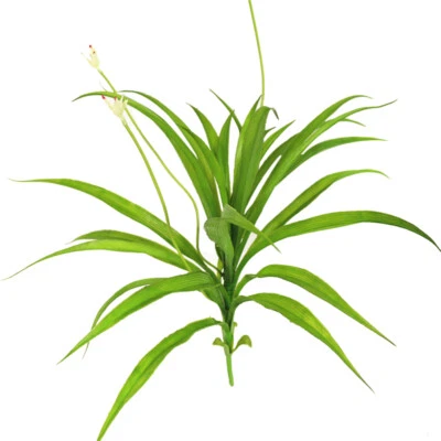 1 pieza hojas de orquídea artificial Cymbidium hoja de orquídea flor planta Cymbidium falso Foto 1 de 4