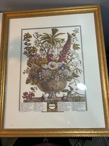 Vintage Robert Furber Gold gerahmter Druck Blume des Monats Dezember 23,5x19,25 - Bild 1 von 11