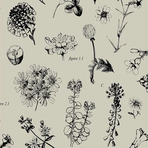 Botanical Bonanza Tissue Paper 500mm x 750mm Multi Listing - Picture 1 of 3