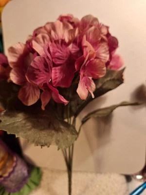 Ashland Hortensias Flor Maureen Ramo Tallo Nuevo Foto 1 de 4