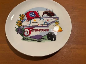 Vintage TENNESSEE Porcelain Souvenir 9" COLLECTOR PLATE EX FS - Picture 1 of 4