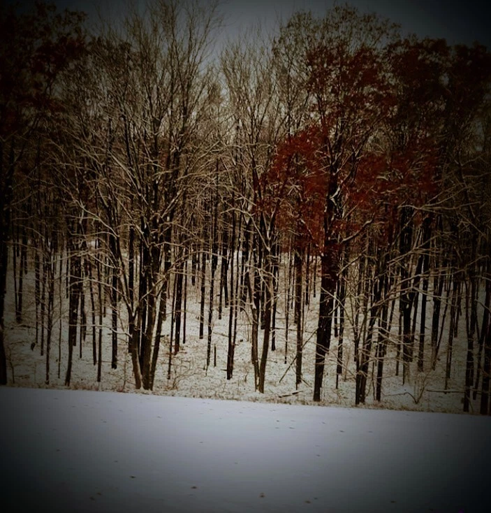 beautiful landscape wall art 11x17 unfaramed  need a optional size  print  — 第 1/1 张图片