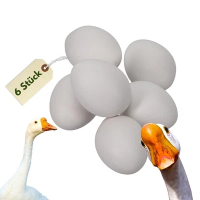 6x Legeeier Kunsteier Nesteier Gipseier Bruteier Gänse Enten Künstliche Eier - Bild 1 von 4