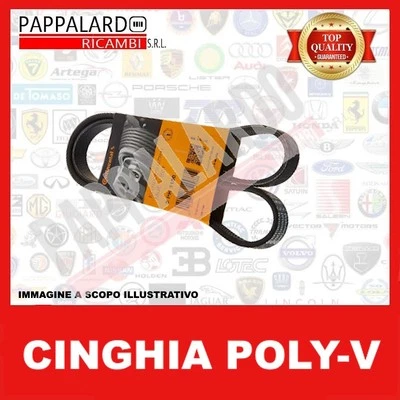 CINGHIA PV SERVIZI ALTERNATORE FIAT 500 GRANDE PUNTO EVO PANDA 312 1.2 1.4 BENZ. - Immagine 1 di 4