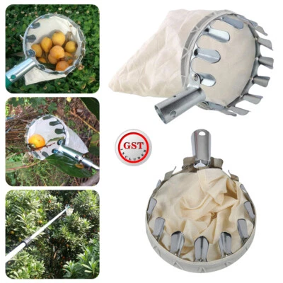 Metal Fruit Picker Head Garden Orchard Mango Pear Peach Picking Catcher Tool AUS - image 1 of 4