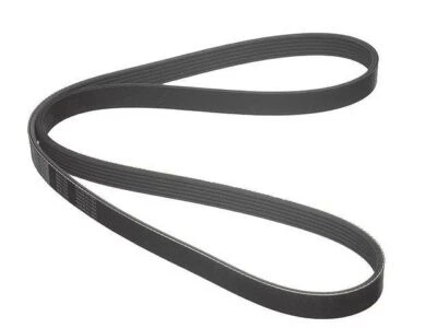 For 1994-1997, 1999-2001 Chrysler LHS Multi Rib Belt Primary 85536TYDN 1995 1996 - Image 1 of 2