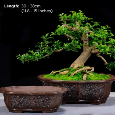 Antique Chinese Terracotta Style Bonsai Pot Large Rectangular Purple Sand Pots - Image 1 of 4