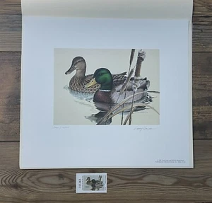 1981 TEXAS - State Duck Stamp Print **LARRY HAYDEN** with STAMP! - Picture 1 of 6