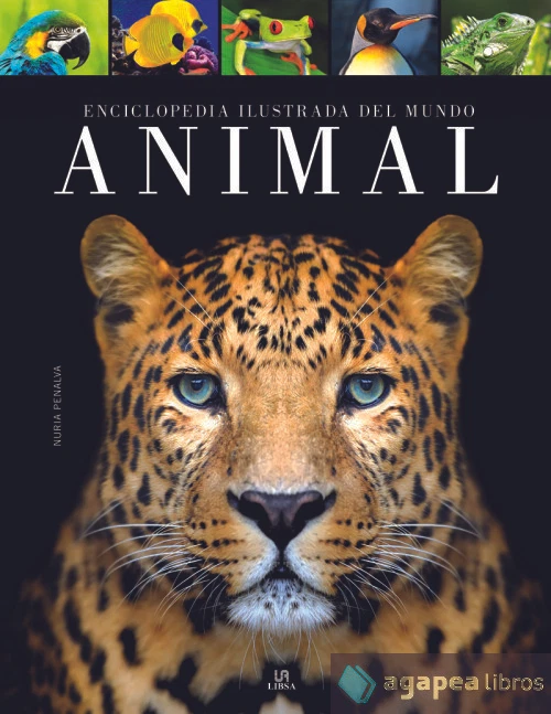Enciclopedia Ilustrada del Mundo Animal. NUEVO. ENVÍO URGENTE (Agapea) - Imagen 1 de 1