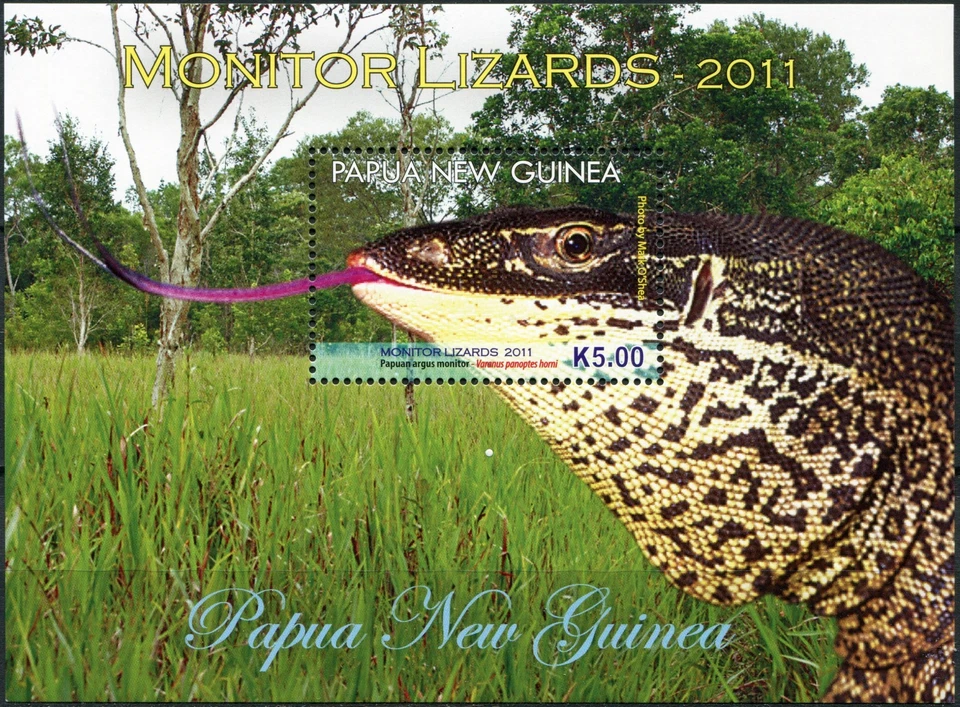Papua New Guinea 2011. Monitor Lizards (MNH OG **) Souvenir Sheet - Image 1 of 1