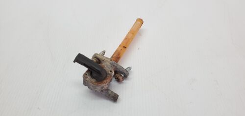 Foto 1 di 3