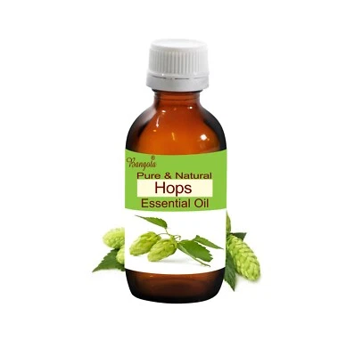 Hops Pure Natural Essential Oil Humulus lupulus by Bangota - Image 1 of 4