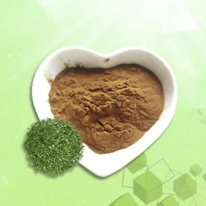 Natural Green Tea Extract 98% Polyphenols 50% EGCG Powder Weight Loss 100g~500g - Picture 1 of 2