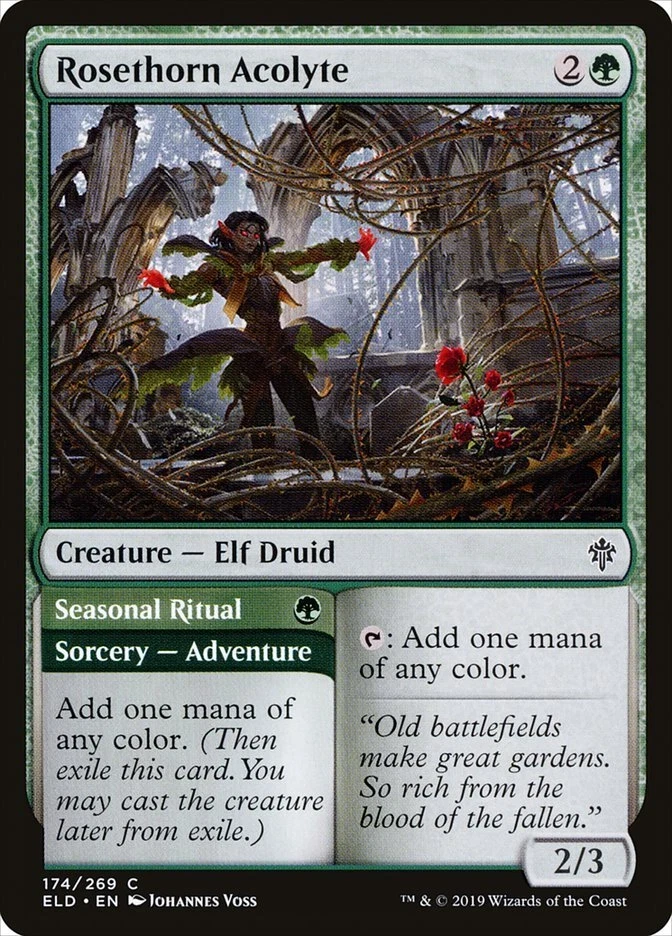 LP Rosethorn Acolyte   Seasonal Ritual (174) Throne of Eldraine ELD MTG Magic - Image 1 of 1