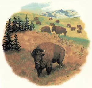 Buffalo Range Mountains Overglaze Waterslide Ceramic Decals - Picture 1 of 4