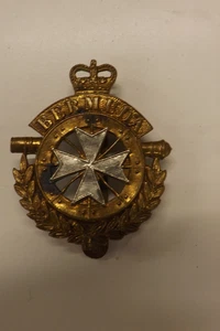 MILITARY CAP BADGE THE ROYAL BERMUDA REGIMENT 4.5CMS by 4CMS (3359) - Picture 1 of 3
