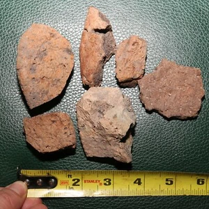 Ankylosaurus Scute - Autentico Fossile - Formazione Hell Creek Esemplare Cretaceo - Foto 1 di 9