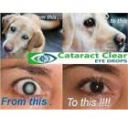THE ORIGINAL 4.2% N.A.C. 10ml Cataract eye drops For people and animals