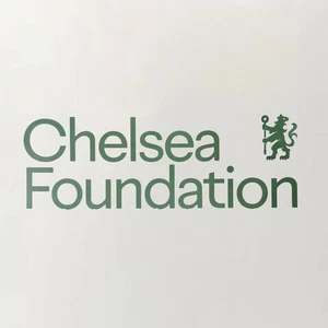 OFFICIAL Chelsea FC Away 2025-26 Chelsea Foundation Back Sponsor - Picture 1 of 6