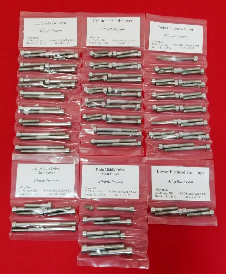 JUEGO DE TORNILLOS DE PERNO DE MOTOR DE ACERO INOXIDABLE PULIDO YAMAHA 1999-2003 ROAD STAR XV1600 Foto 1 de 1