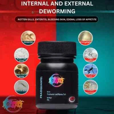 Praziquantel Fish Medication Get rid of Fish Lice Anchor worms Parasites 50g - Image 1 of 4