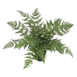Artificial Fern Plant 50cm Wide Fern Realistic Faux Plants Leaf Design - Picture 1 of 4