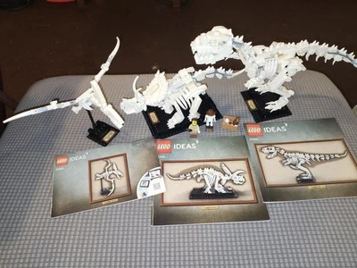 Набор идей LEGO: окаменелости динозавров (21320) - Изображение 1 из 4