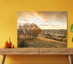 Autumn Grasslands Mongolia 5mm thick Plastic Poster Ready to Hang 60x45cm - Picture 1 of 3