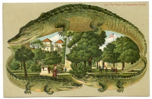 Alligator Border S 544 Florida St Augustine The Plaza - Picture 1 of 2