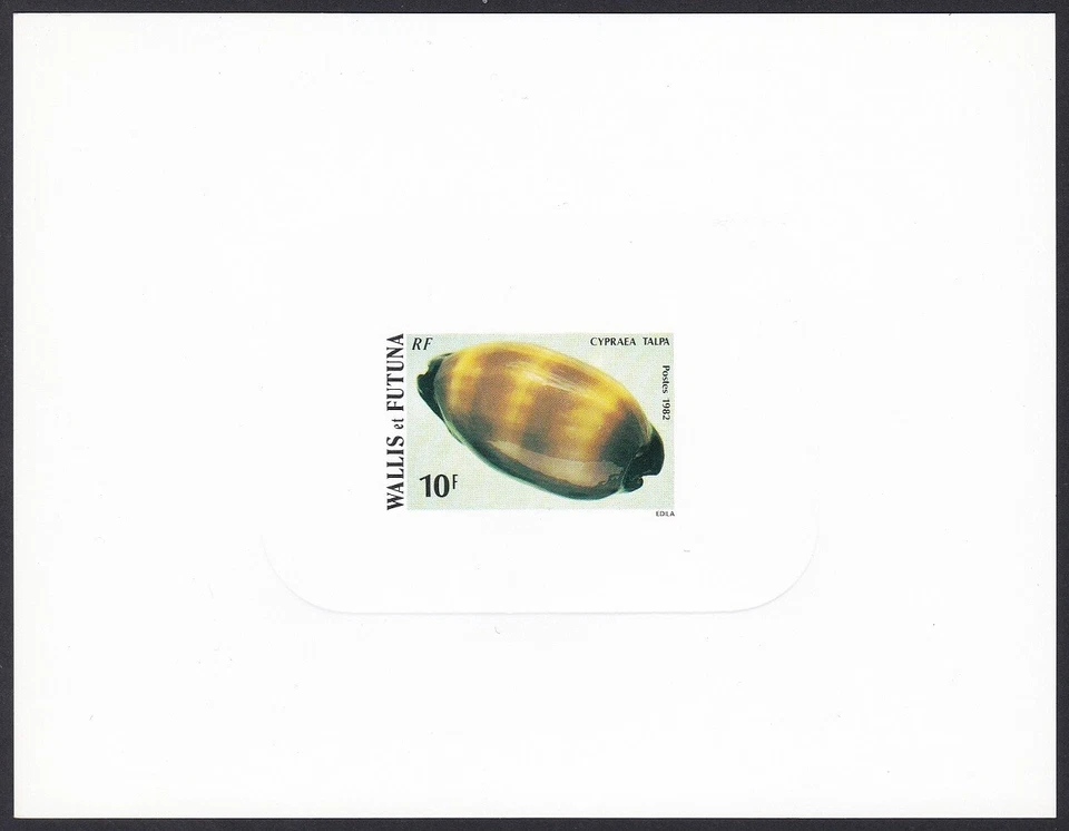 Wallis & Futuna Sc288 Seashell, Sea Snail, Cypraea Talpa, Deluxe Proof - Image 1 of 1