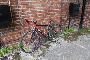 Carbon Fibre Frame Bikes for Women for 