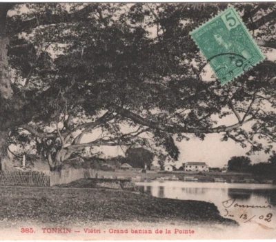 France Cols INDOCHINA Postcard Tonkin TREES View-Side 1902 {samwells}MA547 - Image 1 of 4