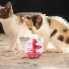 Katzenleckerbissenball, Haustier Langsamfütterer Übung Training Leckerbissenspender Katzenpuzzles