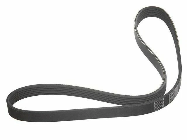 Cinturón multi costilla para BMW 328i 2012-2016 turboalimentado 2013 2014 2015 S368QM Foto 1 de 1