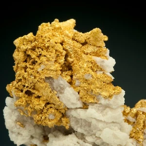 Oro, Ibex/Little Jonny Mine, Leadville, Colorado, 0,710 oz, 0907-0070 - Imagen 1 de 2