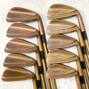 Bridgestone Rextar HT301 Iron Set 10pcs 3-Pw,Aw,Sw Flex R HARMOTEC GOLD HT-36 - Picture 1 of 9