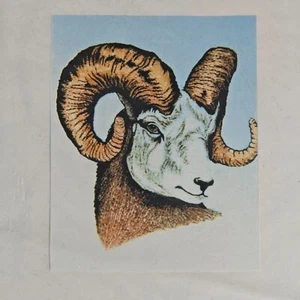 🧵 1990 Bighorn Sheep Machine Embroidery Instructions - Coy Bush 🌿 - Picture 1 of 3