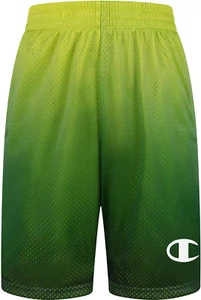 Champion Boys' Ombre Mesh Shorts-Sweet Green/Lakeside XL R7 - Picture 1 of 1