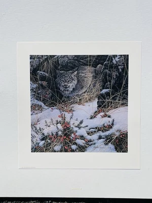 Impresión firmada por Stephen Lyman. Reloj Secreto. 1308/2250. Bobcat en paisaje de invierno Foto 1 de 4