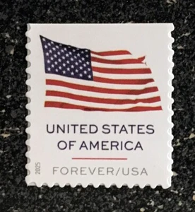 2025USA #6021 Forever U.S. Flag - Single From Booklet  Mint  (BCA) - Picture 1 of 1
