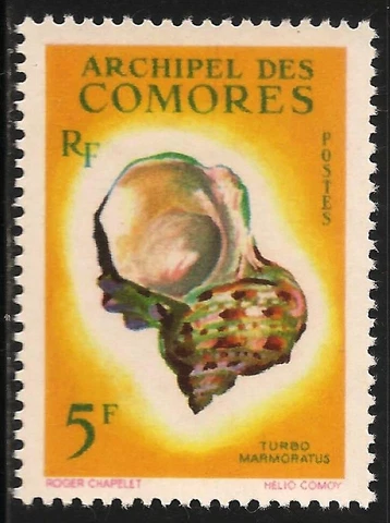 Comoro Islands #51 (A9) VF MINT LH - 1962 5fr Turbo Marmoratus Sea Shell Cover