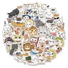 Korean Bear Stickers Decorative Sticker Waterproof Stickers Animal Cat Stickers