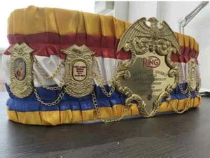 Canelo Ring Magazine Belt adult size fast shipping - Picture 1 of 8