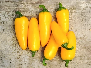 100ct Heirloom Yellow Hot Santa Fe Grande Pepper Seeds - Spicy, Cirussy, Sweet! - Picture 1 of 7