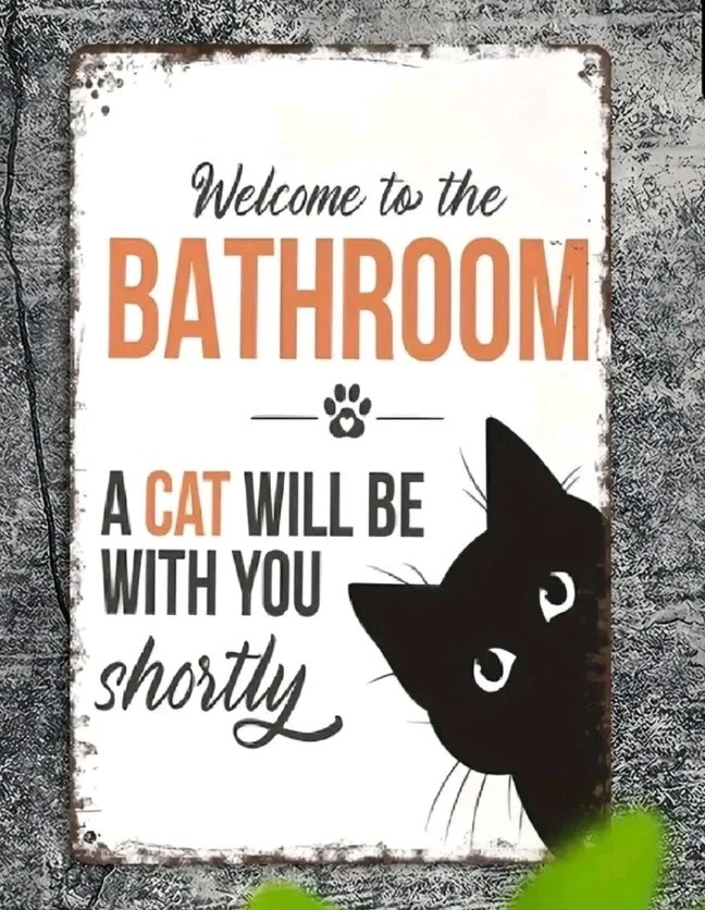 Divertido letrero de baño para gatos 8x12 decoración de pared de metal retro gato negro regalo casa humor Foto 1 de 4