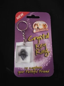 Porte-clés en cristal  - Motif - chien CANICHE NOIR  - Picture 1 of 1