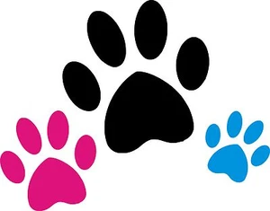 PAWS Wall Art Stickers (decalcomanie) 4 x dimensioni - finitura lucida - piastrelle, vetro, auto - Foto 1 di 4